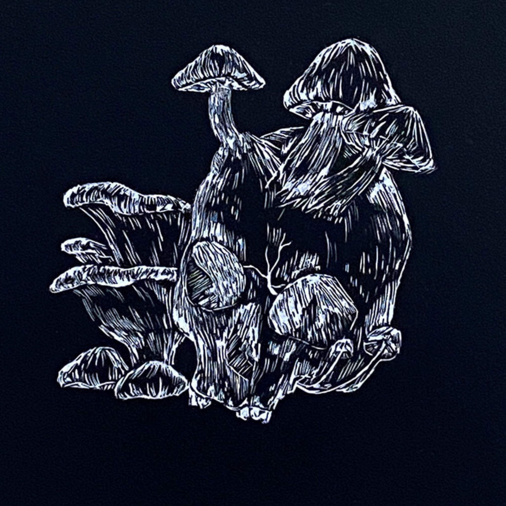 Valkoisella piirrettyjä sieniä mustalla pohjalla.