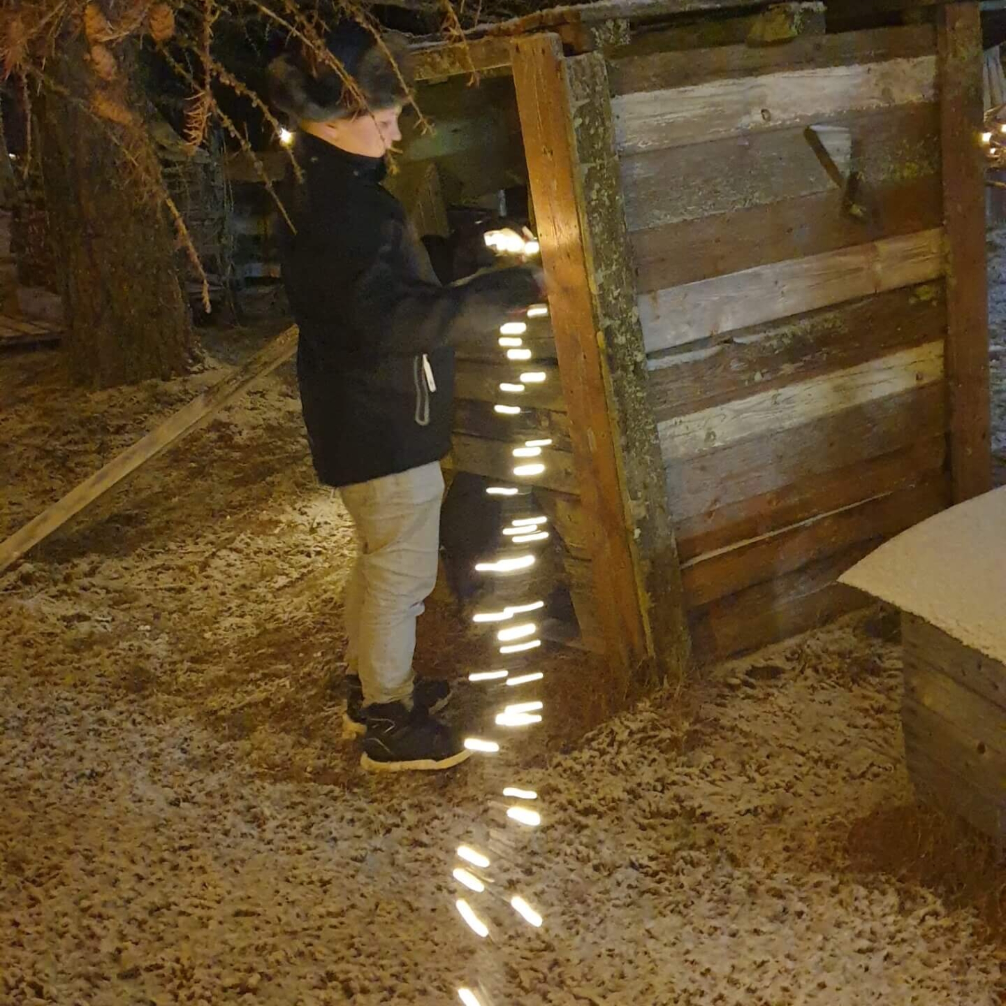 Poika laittamassa valonauhaa puumajaan.