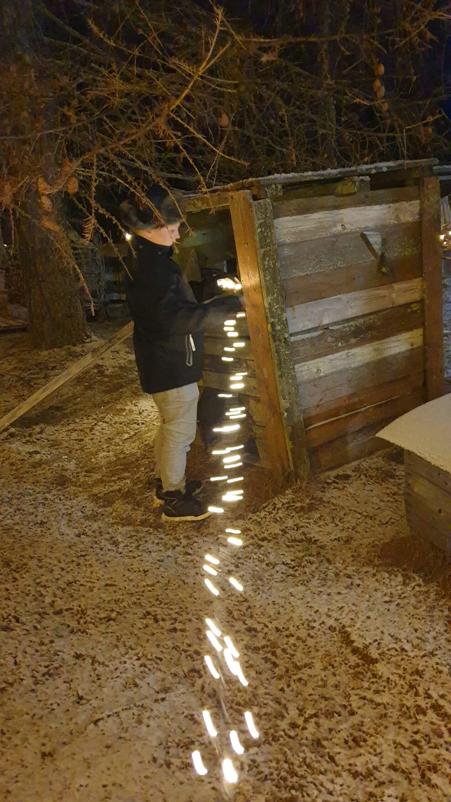 Poika laittamassa valonauhaa puumajaan.