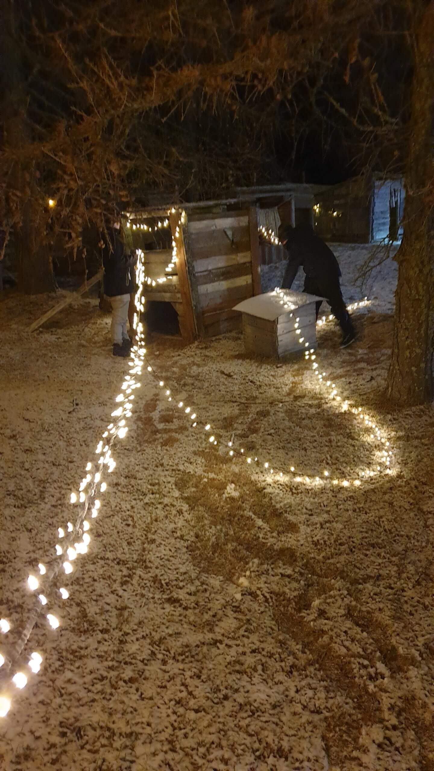 Ihminen laittamassa valonauhoja lumiselle pihamaalle ja puumajaan.