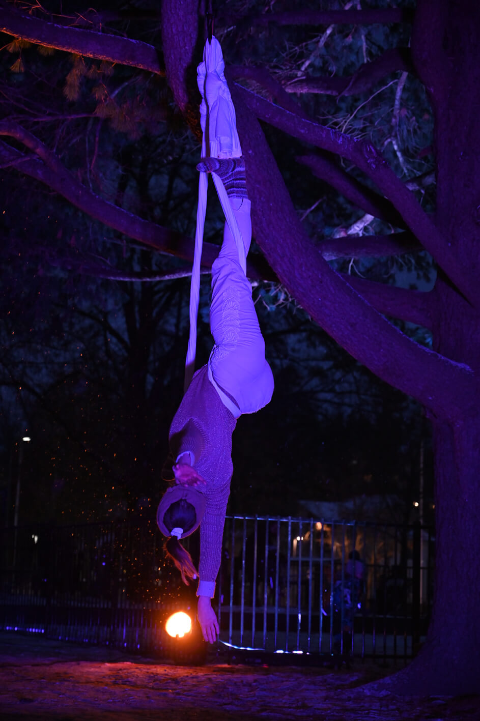 Violetilla valolla valaistu sirkustaiteilija, joka roikkuu puuhun ripustetussa nauhassa.