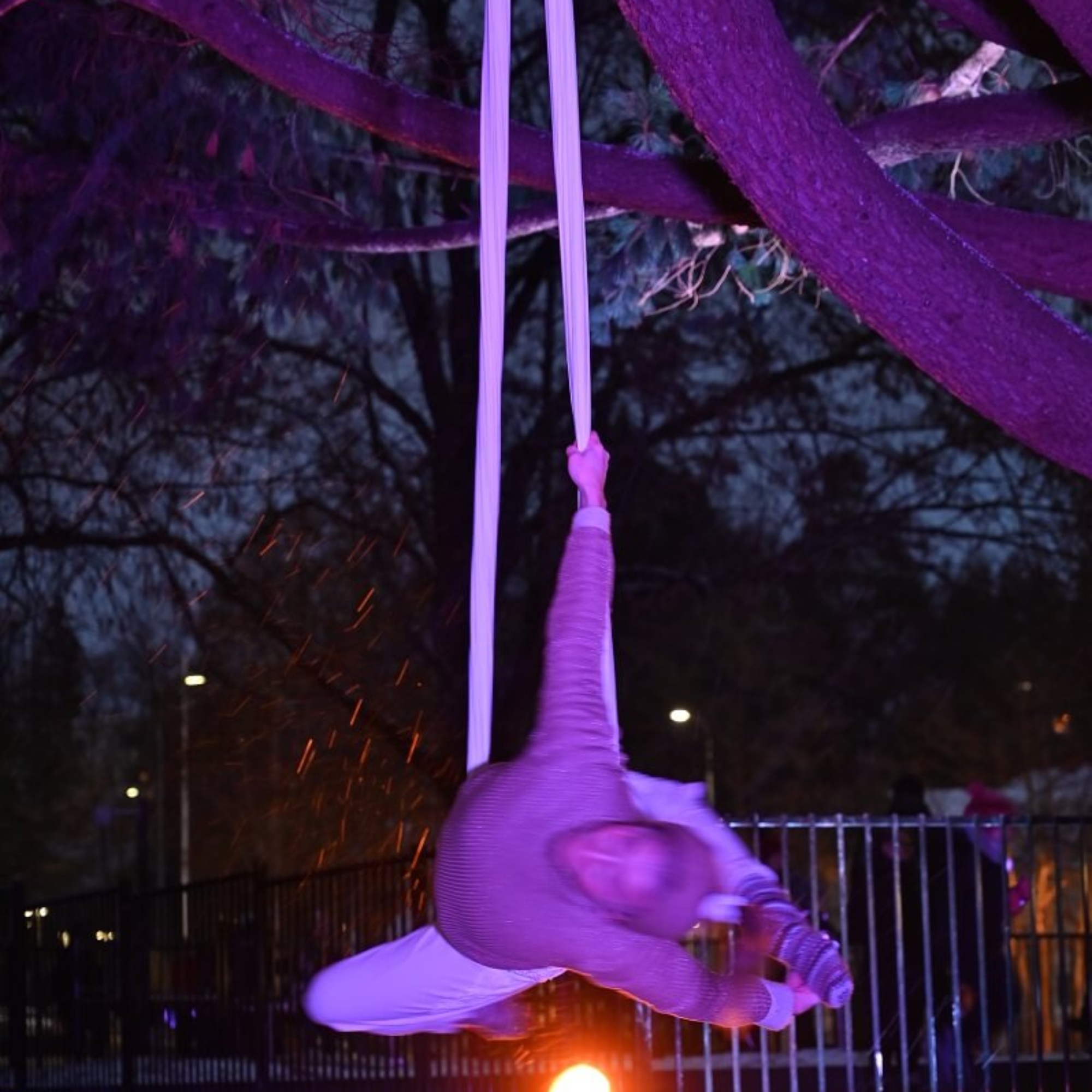 Violetilla valolla valaistu sirkustaiteilija, joka roikkuu puuhun ripustetussa nauhassa.